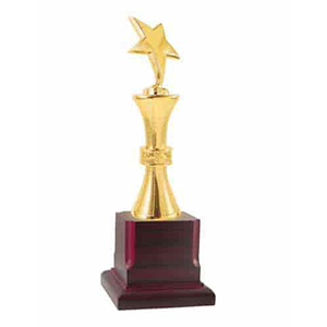 corporate trophy